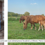 TPR nel Parco La Mandria- foto Cascina La Vittoria - Montaggio di Alice Gado